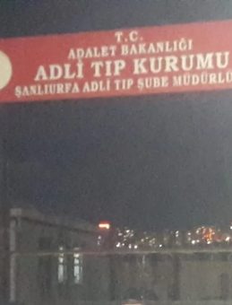 Şanlıurfa'da Korkunç Kaza! 1 Kişi Hayatını Kaybetti, 8 Kişi Yaralandı