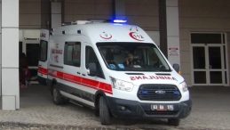 Şanlıurfa&rsquo;da Ara&ccedil; &Ccedil;arpan Kadın Hayatını Kaybetti