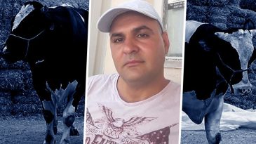 Sattığı dananın saldırısına uğradı, hayatını kaybetti