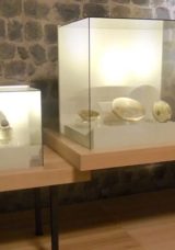 Sel&ccedil;uklu Uygarlığı M&uuml;zesi Nerede? Sel&ccedil;uklu Uygarlığı M&uuml;zesi'ne Nasıl Gidilir, M&uuml;zekart Ge&ccedil;er Mi?