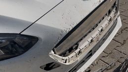 Sivas'ta Sokak K&ouml;pekleri İl&ccedil;enin Kabusu Oldu: Dişleriyle 108 Bin TL'lik Zarar Verdiler!