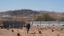 Siyonist İsrailliler Batı Şeria’da gazetecilere ve yabancı aktivistlere saldırdı