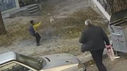 Sokak K&ouml;peği Bir &Ccedil;ocuğu Isırdı