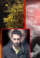 SON DAKİKA: Sarıyer'de meydana gelen dehşet verici olay! 22 yaşındaki yeğenini katletti!