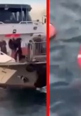 SON DAKİKA: &Uuml;sk&uuml;dar'da dehşet veren g&ouml;r&uuml;nt&uuml;! Kadın yolcu feribottan d&uuml;şt&uuml;! O anlar ortaya &ccedil;ıktı