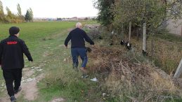 SON DAKİKA… Eskişehir'de Bütün Mahalle Diken Üstünde! 11 Tavuk Hayatını Kaybetti: Kan Kokusuna Alıştıkları İçin…