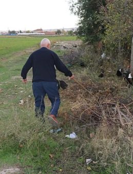 SON DAKİKA… Eskişehir'de Bütün Mahalle Diken Üstünde! 11 Tavuk Hayatını Kaybetti: Kan Kokusuna Alıştıkları İçin…