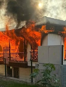 SON DAKİKA… Muğla'da korku dolu anlar: Uyuşturucu bağımlısı genç bir evi ateşe verdi, 2 jandarmayı bıçakla yaraladı!