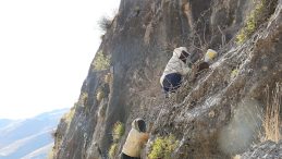 SON DAKİKA&hellip; O ilimizde şaşkına &ccedil;eviren g&ouml;r&uuml;nt&uuml;! 4 g&uuml;nl&uuml;k izinle b&ouml;lgeye girdiler: Kilo kilo topladılar!