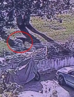 SON DAKİKA… Yürüyüş yapan Ali Haydar Özyıldırım'ı sokak ortasında katletmişti: Dikkat çeken kan ve çimen detayı!