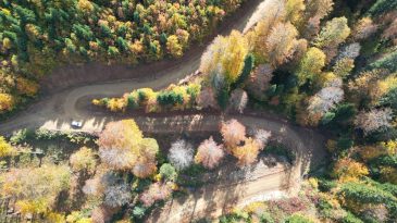 Sonbaharın b&uuml;y&uuml;s&uuml;: Bartın ve Karab&uuml;k yaylalarında renk c&uuml;mb&uuml;ş&uuml;