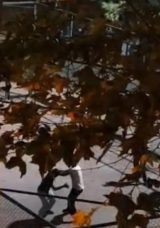 Sultangazi'de Şok Edici Olay: Kavgayı İzleyip Tezah&uuml;rat Yaptılar!