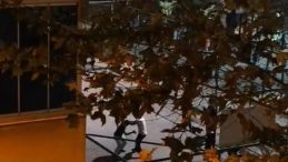 Sultangazi'de Şok Edici Olay: Kavgayı İzleyip Tezahürat Yaptılar!