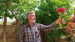 Suru&ccedil;&rsquo;ta Kamyon ile Elektrikli Bisiklet &Ccedil;arpıştı: 1 Kişi Hayatını Kaybetti