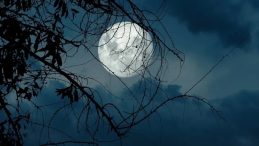 Süper Ay ne zaman, saat kaçta başlayacak? Son 6 yılın en büyüğü! Süper Ay Kunduz Dolunayı Türkiye'den izlenecek mi?