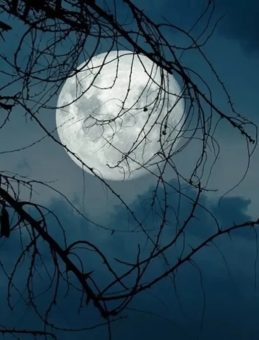 Süper Ay Ne Zaman, Saat Kaçta Başlayacak? Yılın En Büyük Dolunayı! Süper Ay Kunduz Dolunayı Türkiye'den Görülecek Mi?