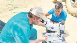 S&uuml;t Alerjisine Genetik &Ccedil;&ouml;z&uuml;m