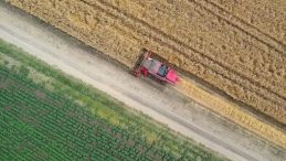 Tarım ve Orman Bakanlığı Duyurdu: Buğday Unu İhracatında Ülkemiz Dünyada 1. Sırada