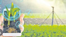 Tarladan Şehre Taşımada 5 Kritik Formül