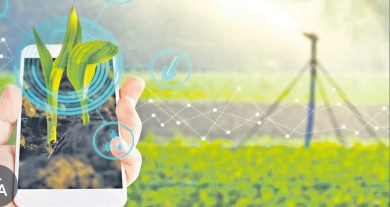 Tarladan Şehre Taşımada 5 Kritik Formül