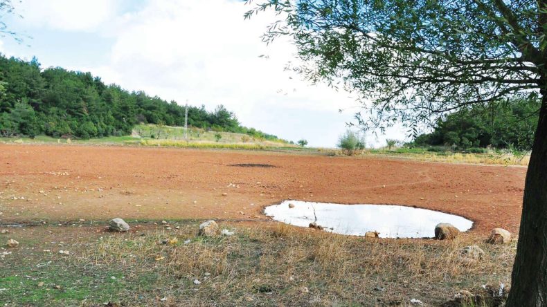 Taşıma Su ile Canlanan Göl Kuru Kaldı