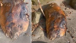 Tekirdağ'da Sahile Vuran Gizemli Deniz Canlısı