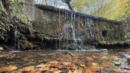 Tekirdağ'da Sonbahar Renklerinde Büyüleyici Orman Manzaraları!