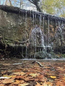 Tekirdağ'da Sonbahar Renklerinde Büyüleyici Orman Manzaraları!