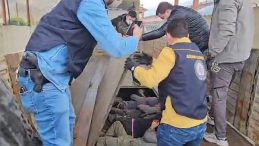 TIR'ın Dorsesinde 20 Ka&ccedil;ak G&ouml;&ccedil;men Yakalandı: 1 Kişi Tutuklandı