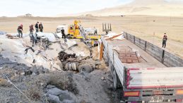 Toprak Yığınına Çarpan TIR'ın Şoförü Hayatını Kaybetti