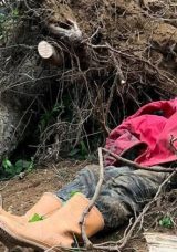 Trabzon'da Feci &Ouml;l&uuml;m: Kestiği Ağacın Altında Kaldı!