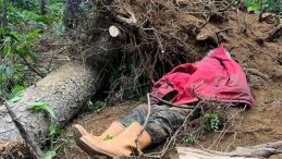 Trabzon'da Feci &Ouml;l&uuml;m: Kestiği Ağacın Altında Kaldı!