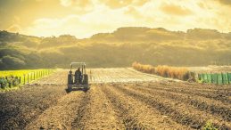 Türkiye Tarımsal Hasılada Avrupa’nın Zirvesinde