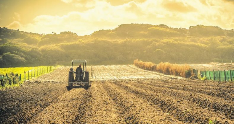 Türkiye Tarımsal Hasılada Avrupa’nın Zirvesinde