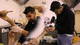 T&uuml;rkiye'de Bir İlk: Kayseri'de Yer Altından &Ccedil;ıkarılan Antik Kalıntılar Yeniden Hayata D&ouml;nd&uuml;r&uuml;l&uuml;yor!