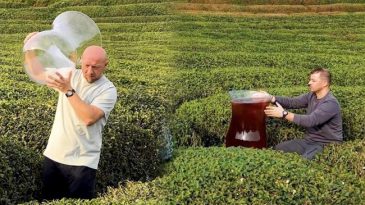 U&ccedil;ağa Atlayıp Rize'ye Gittiler: Dev &Ccedil;ay Bardağına Hayran Kaldılar!