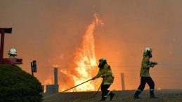 UNESCO Listesine Dahil Olan Parkta Yangın: 1800 Hektar Alan Yok Oldu