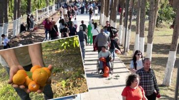 &Uuml;cretsiz Narenciye Dağıtımıyla Gelen Kalabalık: 'Hem Yiyoruz Hem de Stres Atıyoruz'