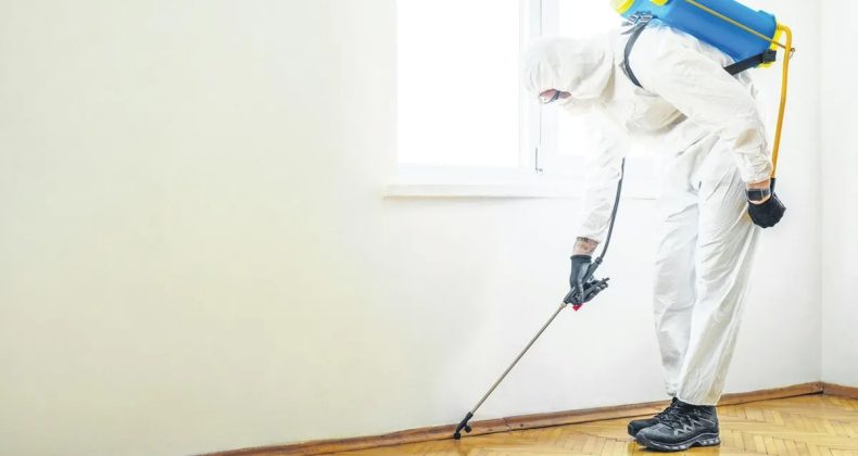 Vatandaş Bilinçlendi, Belgeler İsteniyor