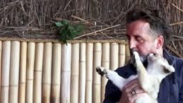 Veteriner Kliniğinde Ele Ge&ccedil;irilen Yavru Aslana 'Hugo' Adı Verildi