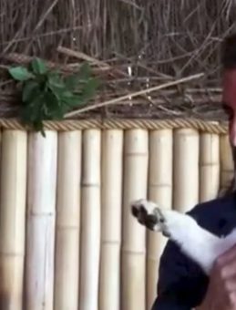 Veteriner Kliniğinde Ele Geçirilen Yavru Aslana 'Hugo' Adı Verildi