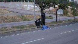 Yaya, Yolun Karşısına Ge&ccedil;erken Hayatını Kaybetti