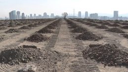 Yeşil Vatan Seferberliği