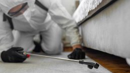 Zehirlenme Faciası: 'Alüminyum Fosfit' Uyarısı! Bakkallarda Bile Bulunabiliyor