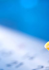 2026 Resmi Tatiller Takvimi – Bu Yıl Kaç Gün Resmi Tatil Var ve Hangi Tarihlere Denk Geliyor?