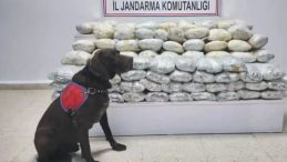 29 İlde Uyuşturucu Operasyonu