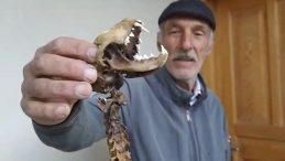 55 Santimetre Boyunda Yırtıcı Dişlere Sahip İskelet Bulundu!