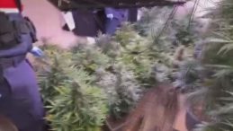 580 G&uuml;nd&uuml;r Aranıyordu: İklimlendirme Sistemi ile Uyuşturucu &Uuml;retirken Yakalandı