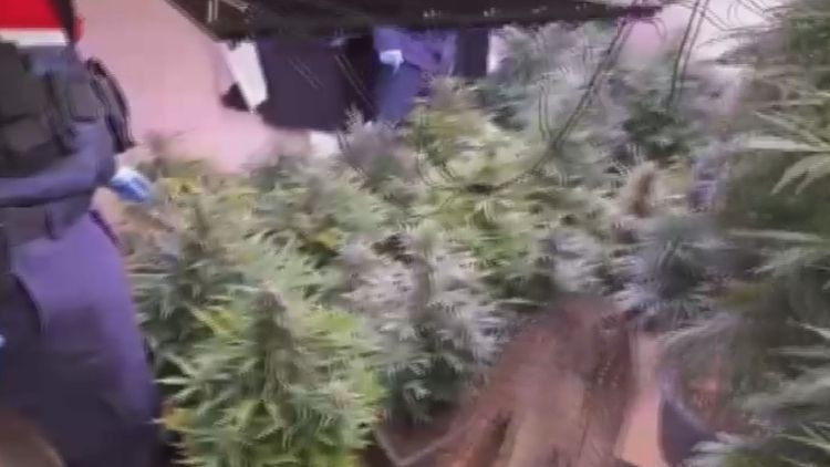 580 G&uuml;nd&uuml;r Aranıyordu: İklimlendirme Sistemi ile Uyuşturucu &Uuml;retirken Yakalandı