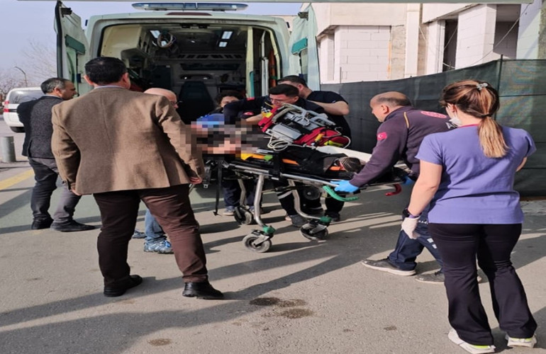 Selda Özkan İlte İlgili Görsel